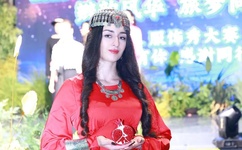 陈天龙纪秋水的小说免费